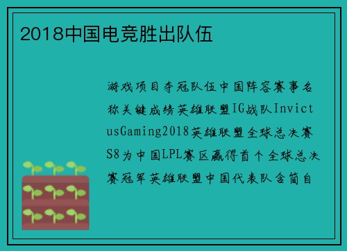 2018中国电竞胜出队伍